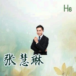 张慧琳